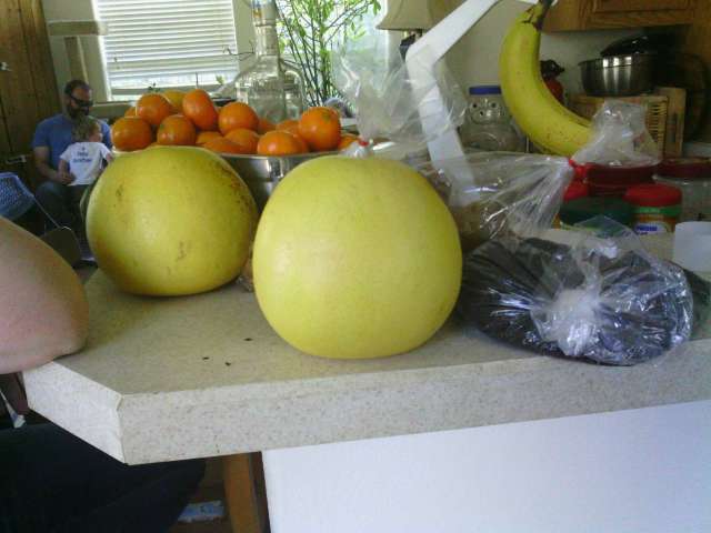 Two Innocent Pomelos